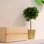 Standard By Hi5 - West End Center